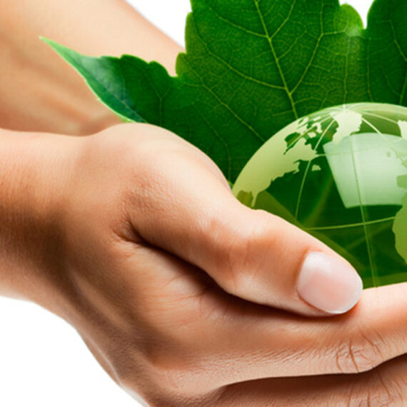 planète terre mains écologie / green earth globe in hands